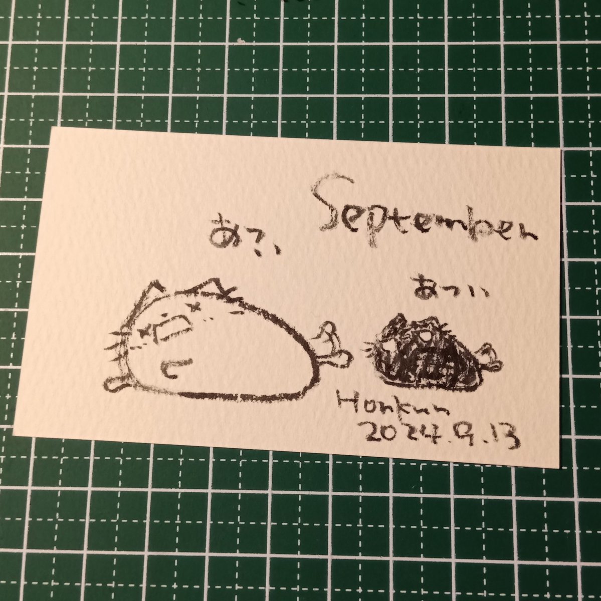 2024-09-13