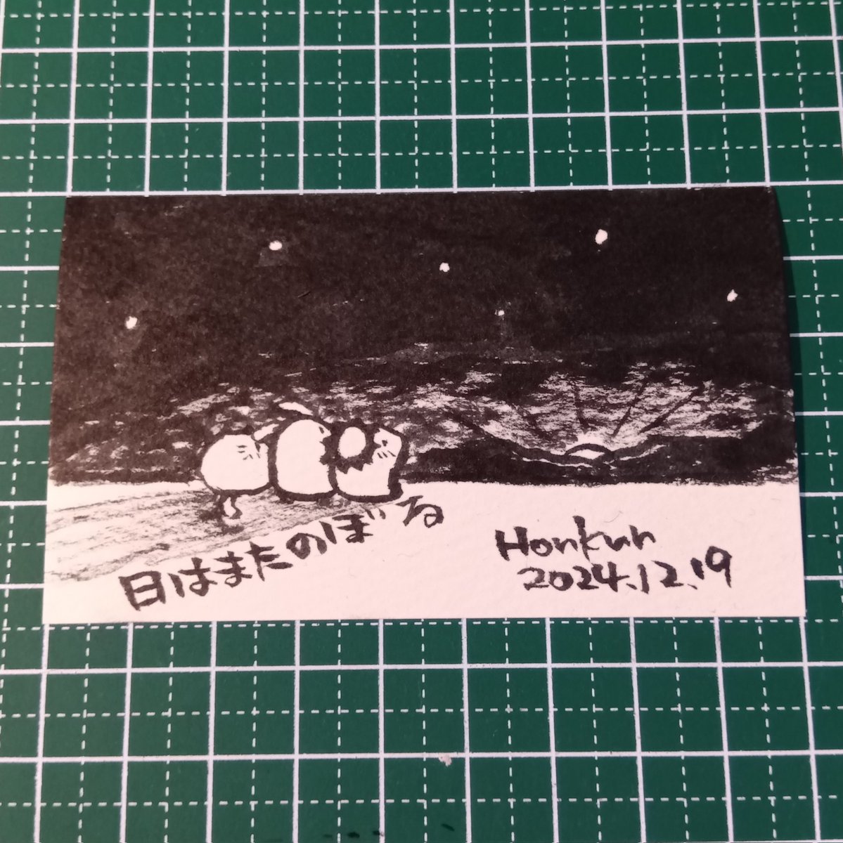 2024-12-19