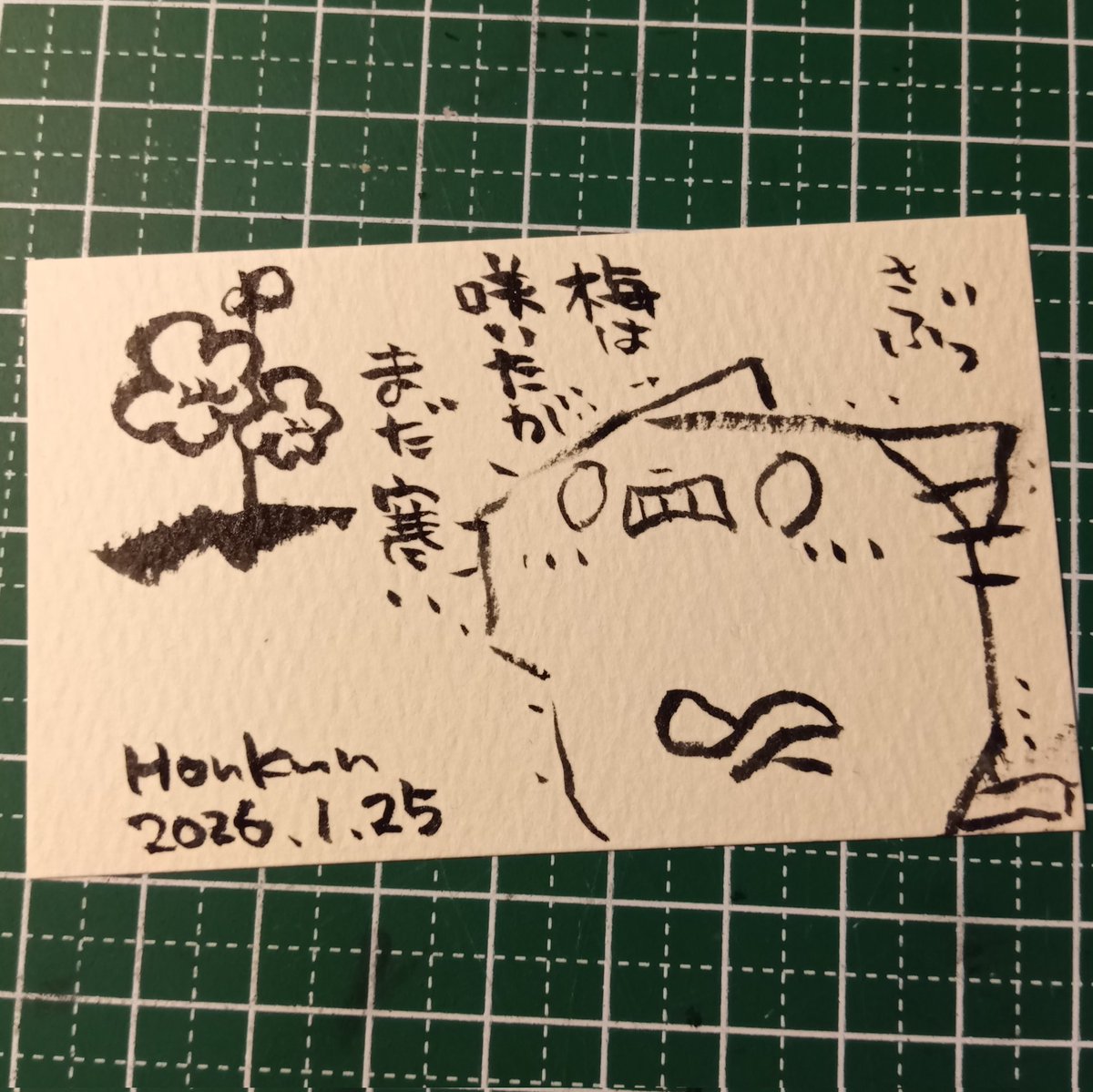 2026-01-25